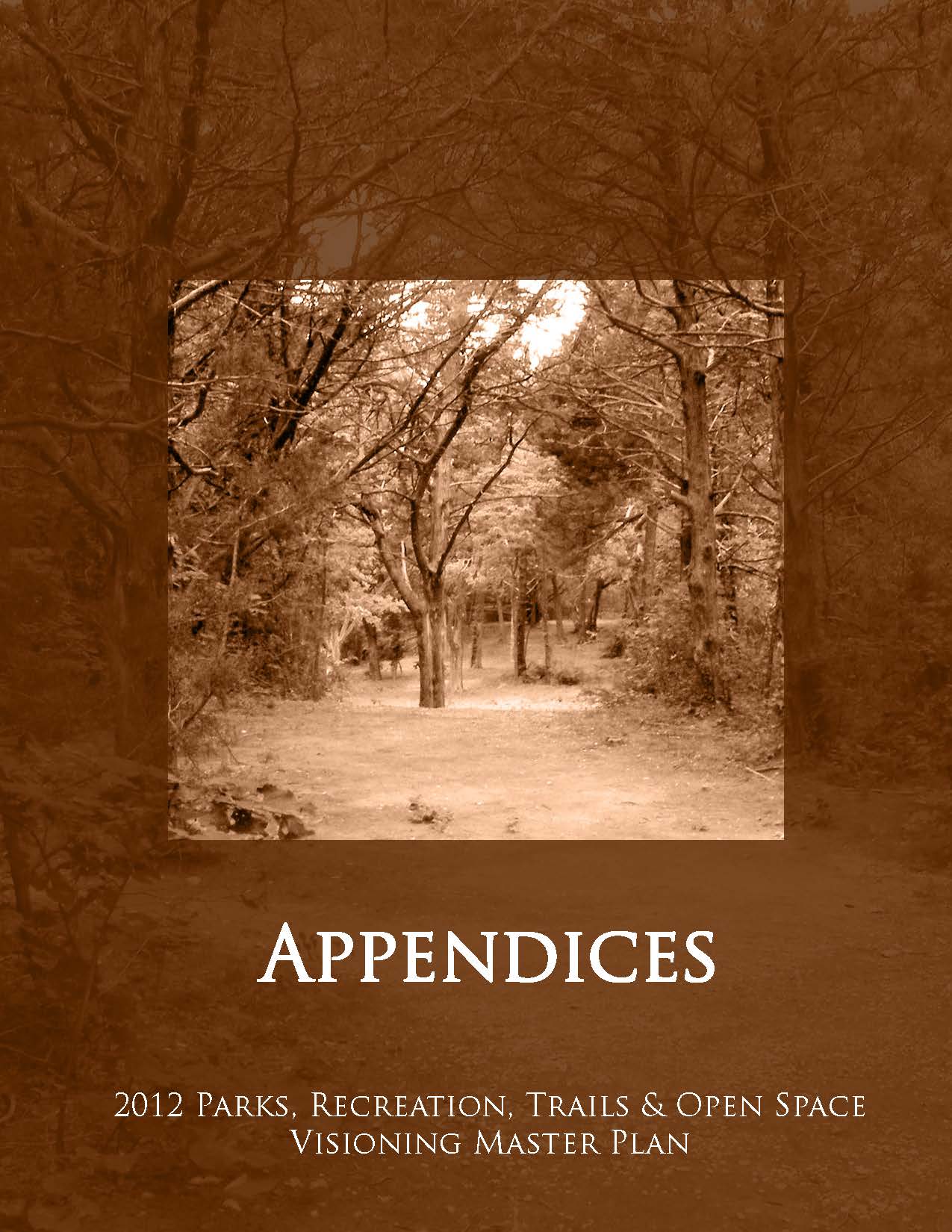Appendices (PDF)