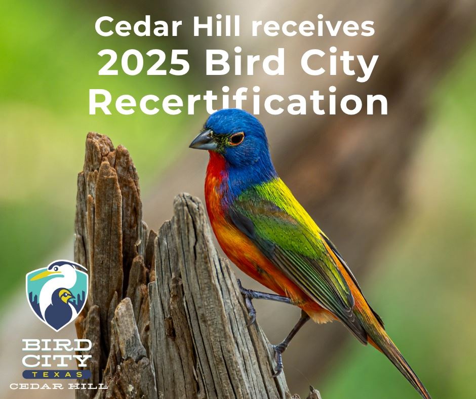 506396750_1162856755874060_2176796552464333759_n