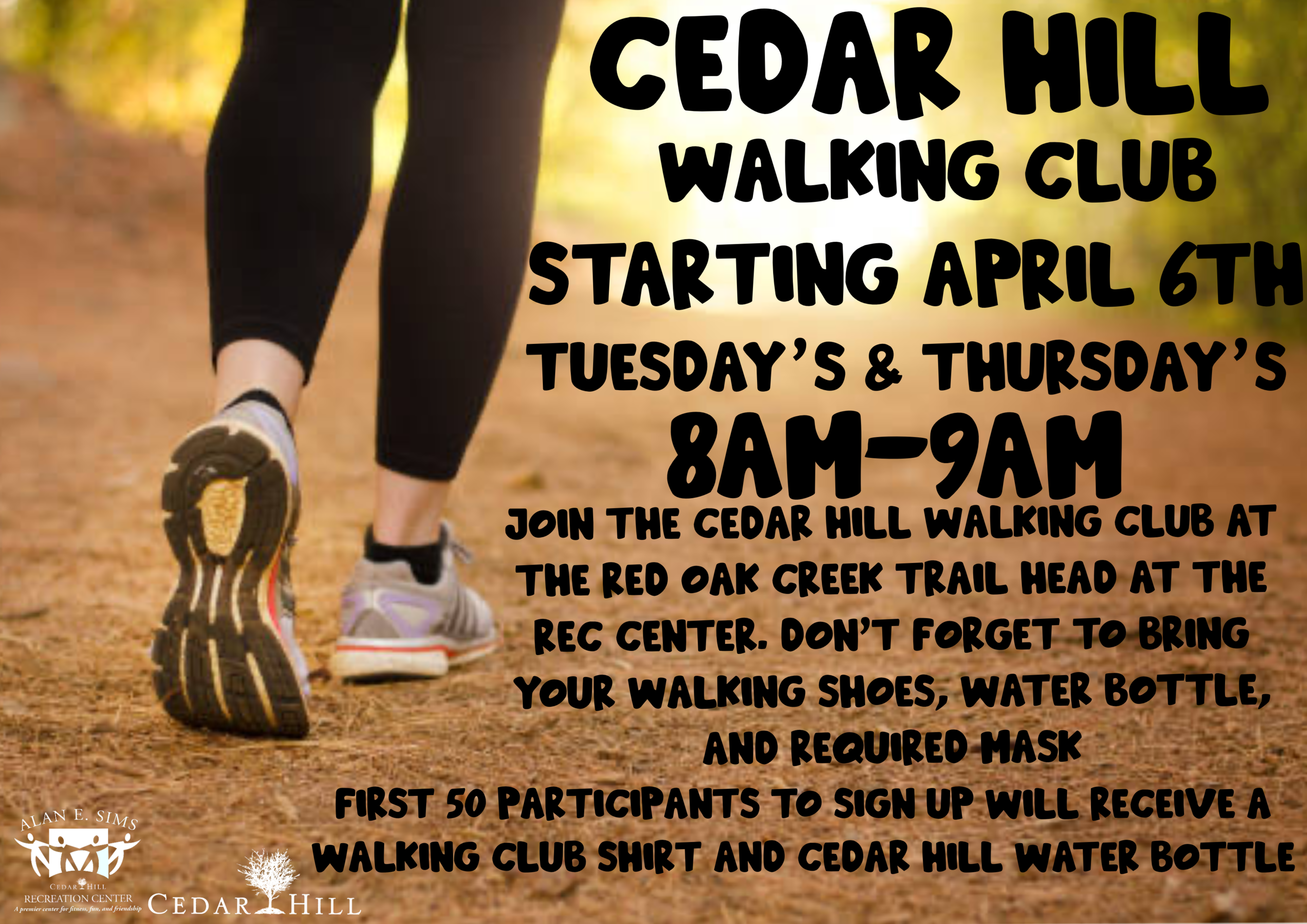 55+ Walking club Flyer Opens in new window