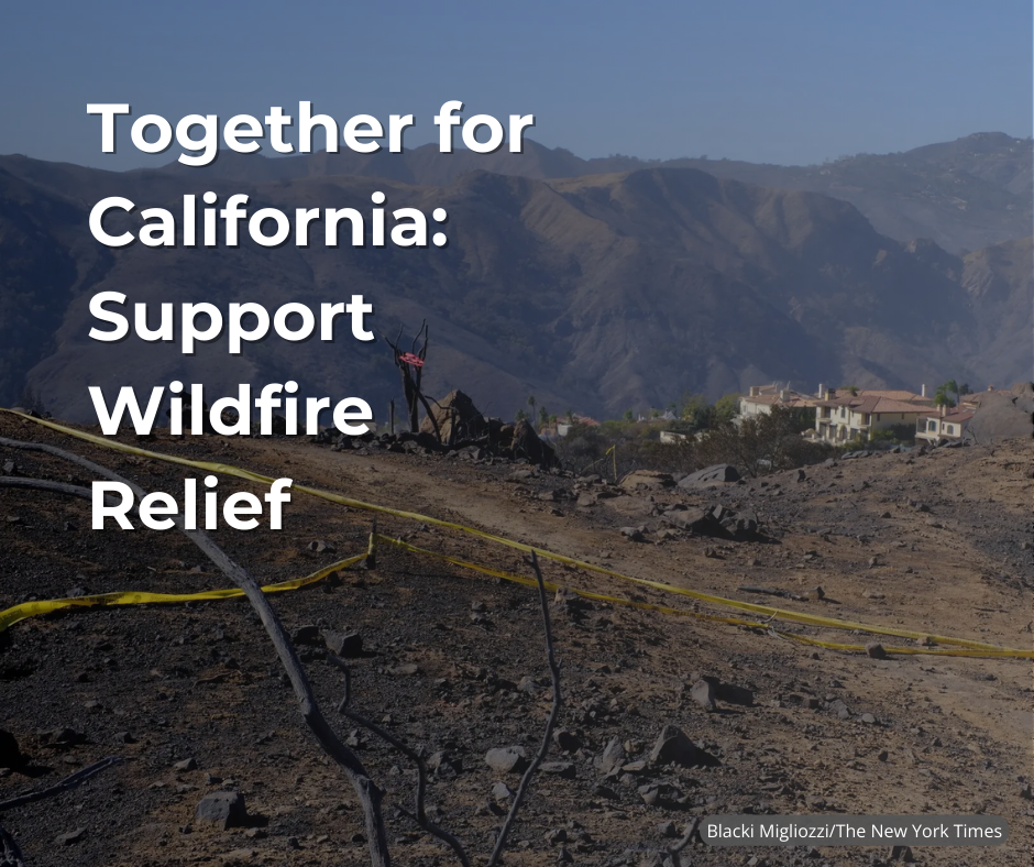 Stand With California: Support Those Affected by Wildfires
